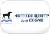 TopDogFitness -  